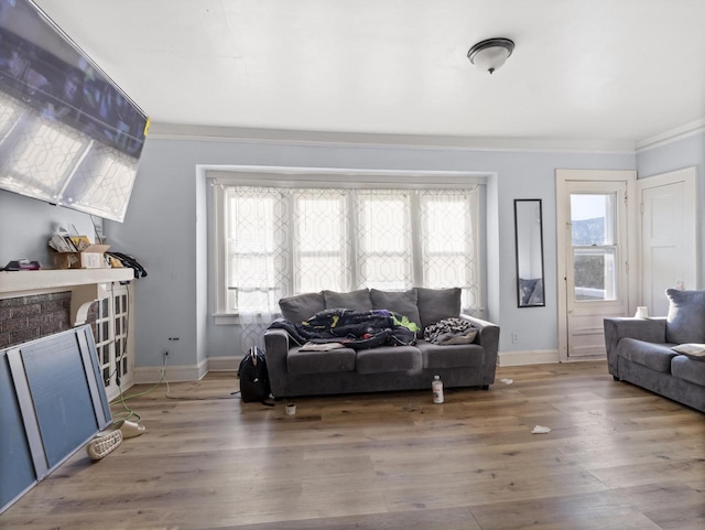 living room featuring hardwood / wood-style flooring, plenty of natural light, and a fireplace