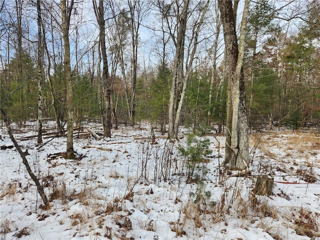 snowy landscape featuring a forest view