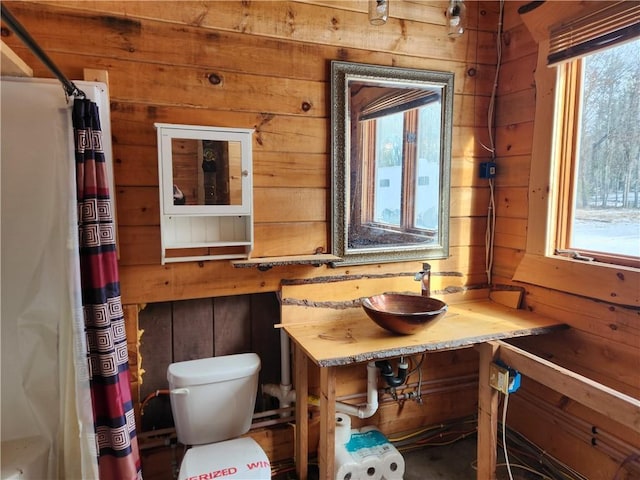 full bath with toilet, plenty of natural light, wooden walls, and a sink