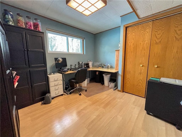 office area with light hardwood / wood-style floors