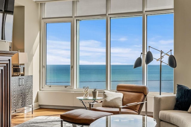 living area with a water view, light hardwood / wood-style floors, and a wealth of natural light