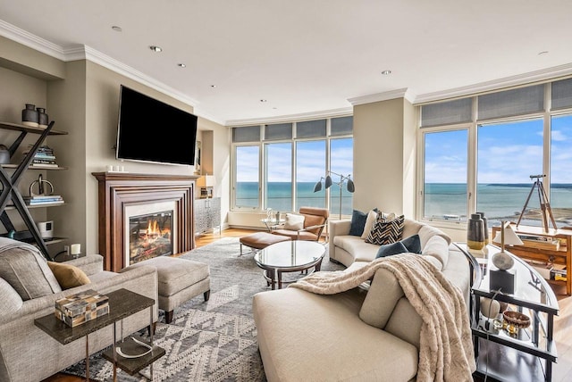 living room with wood-type flooring and crown molding