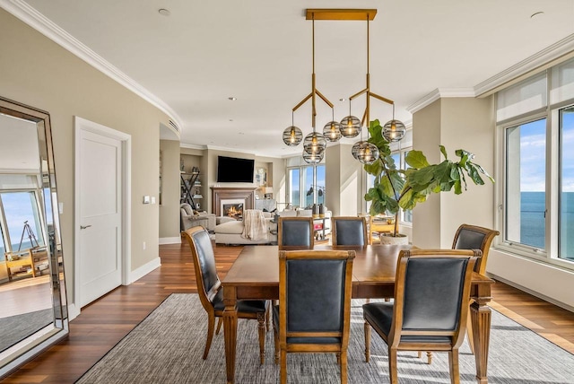 dining area featuring a wealth of natural light, dark wood-type flooring, and ornamental molding