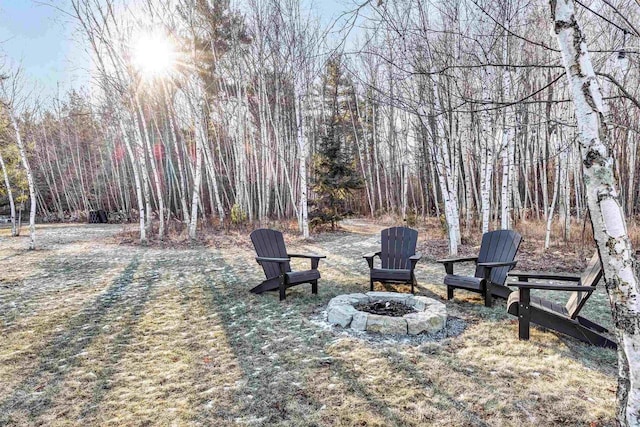 view of yard featuring an outdoor fire pit