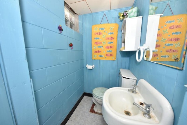 bathroom with sink and toilet