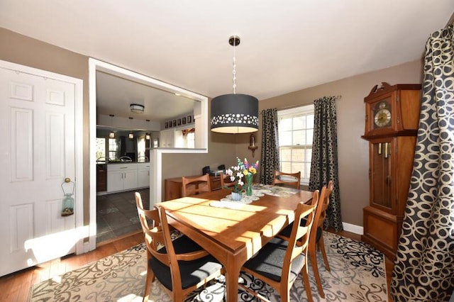 dining area with hardwood / wood-style flooring