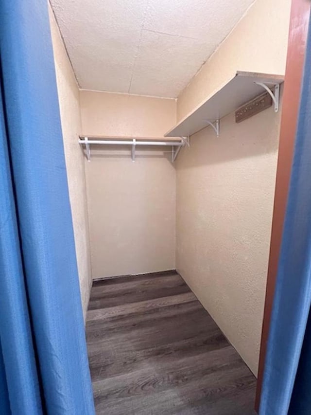 spacious closet with dark wood-type flooring