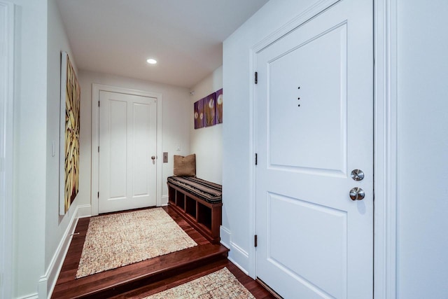 entryway featuring dark hardwood / wood-style flooring