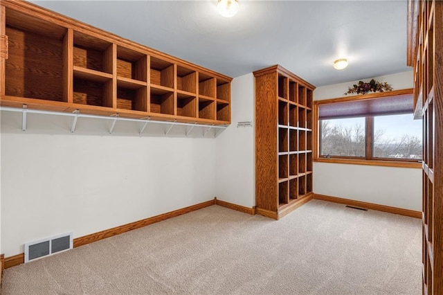 interior space with light colored carpet