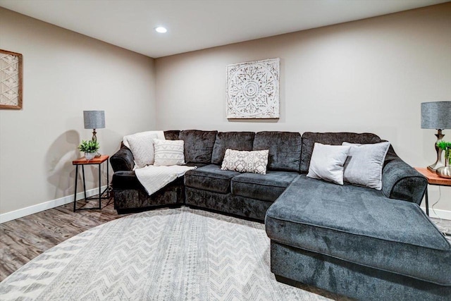 living room with wood-type flooring