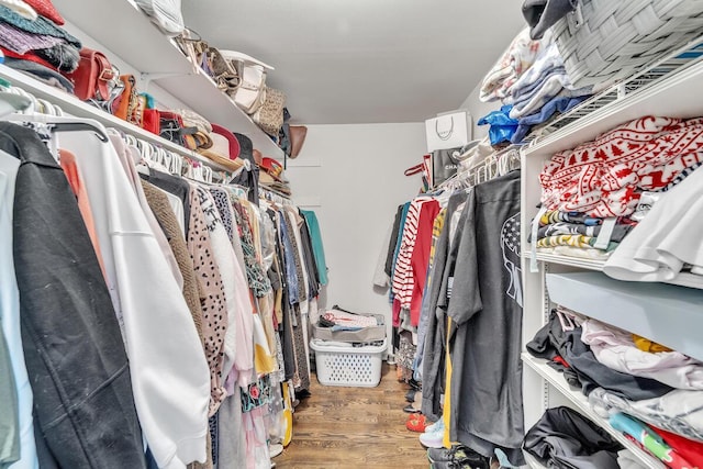 walk in closet with hardwood / wood-style flooring