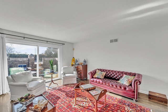 living room with wood-type flooring