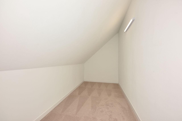 additional living space with light colored carpet and vaulted ceiling