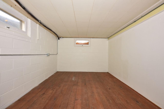 basement featuring dark hardwood / wood-style flooring