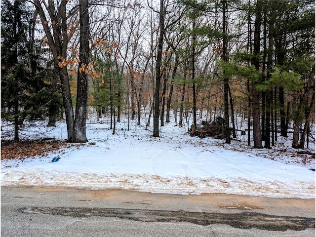 0000 Murphy Ln, Eau Claire WI, 54703 land for sale