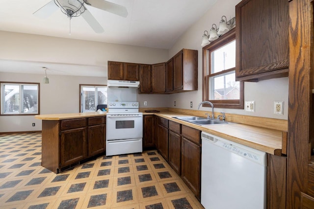 kitchen featuring sink, white appliances, ceiling fan, dark brown cabinetry, and kitchen peninsula