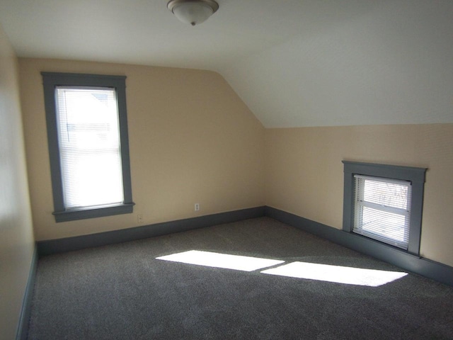 additional living space featuring lofted ceiling and carpet flooring