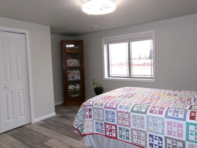 bedroom with hardwood / wood-style flooring