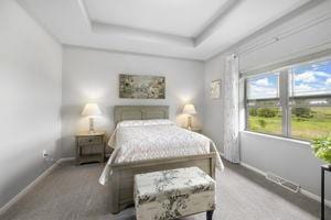 105 Community Dr, Fall River, WI 53932 - bedroom featuring carpet flooring and a tray ceiling