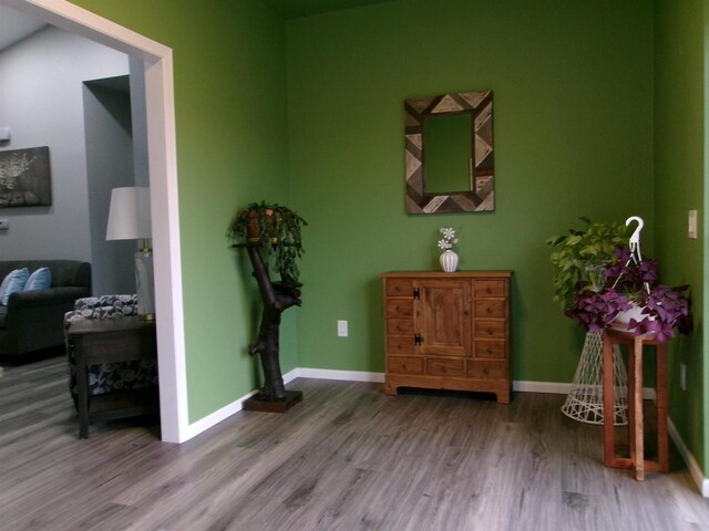 sitting room with wood-type flooring