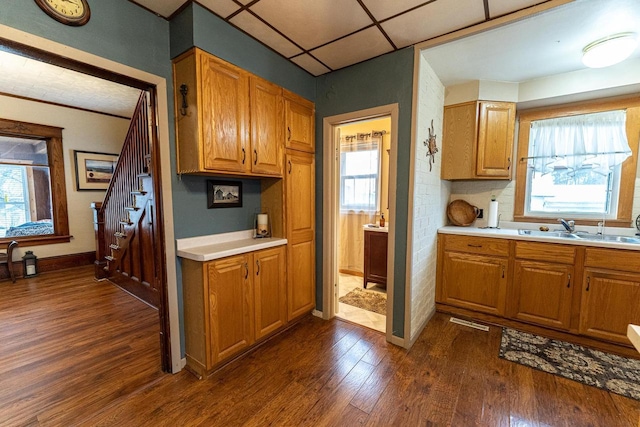 kitchen featuring a paneled ceiling, dark hardwood / wood-style floors, and sink