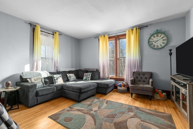 living room with wood-type flooring