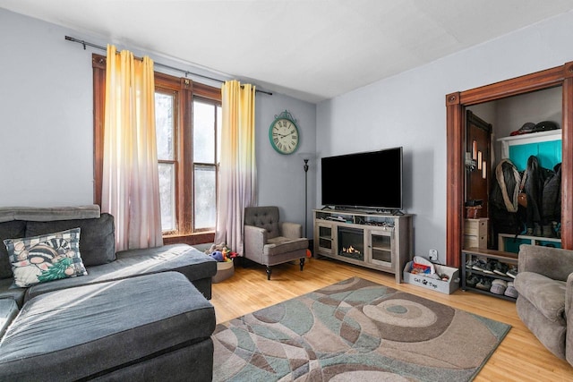 living room featuring wood-type flooring