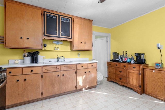 kitchen featuring sink, ornamental molding, and range