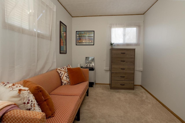 living area featuring ornamental molding and light colored carpet