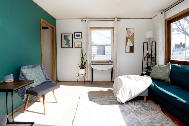 sitting room with a wealth of natural light