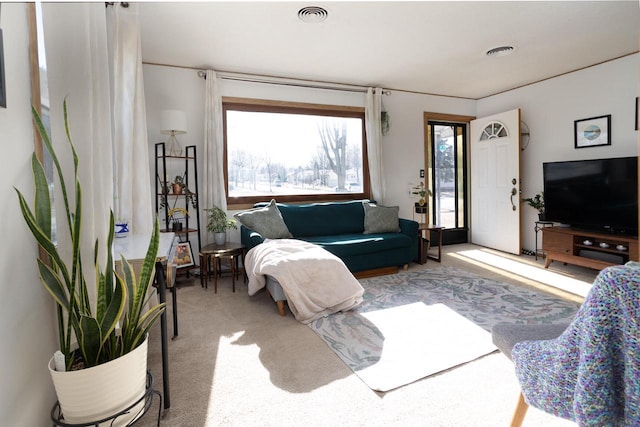 living room featuring light carpet