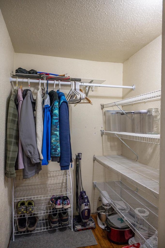 spacious closet with hardwood / wood-style floors