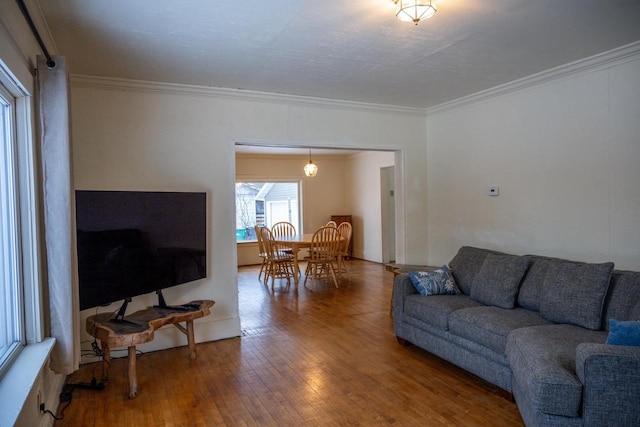 living room with ornamental molding and wood-type flooring