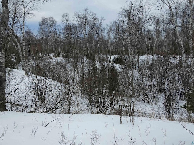 13770 State Highway 13, Herbster, WI 54844 - view of snowy landscape