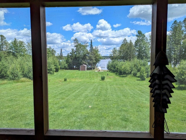 view of yard with a storage shed