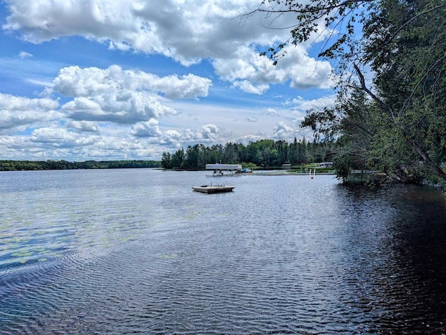 property view of water