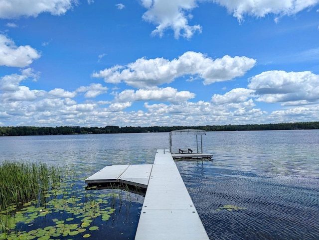 dock area featuring a water view