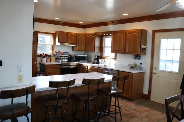 kitchen with stainless steel appliances, ornamental molding, plenty of natural light, and kitchen peninsula