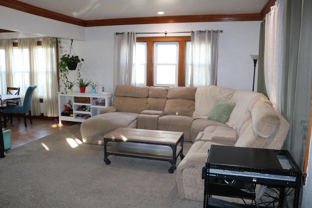 carpeted living room featuring crown molding