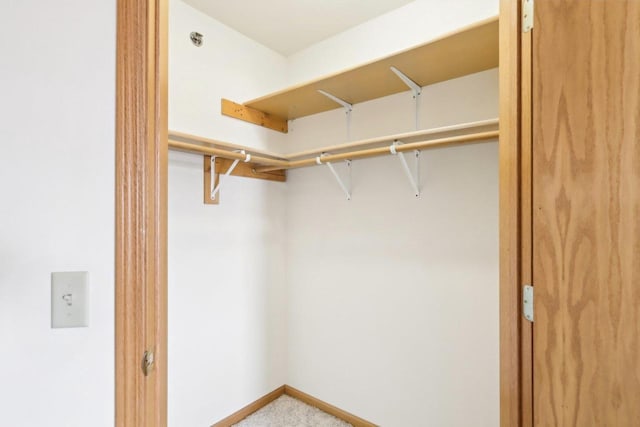 view of spacious closet