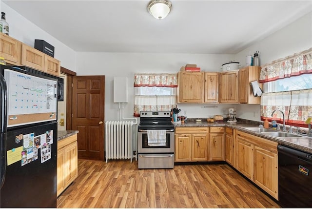 kitchen featuring radiator heating unit, a wealth of natural light, sink, and black appliances