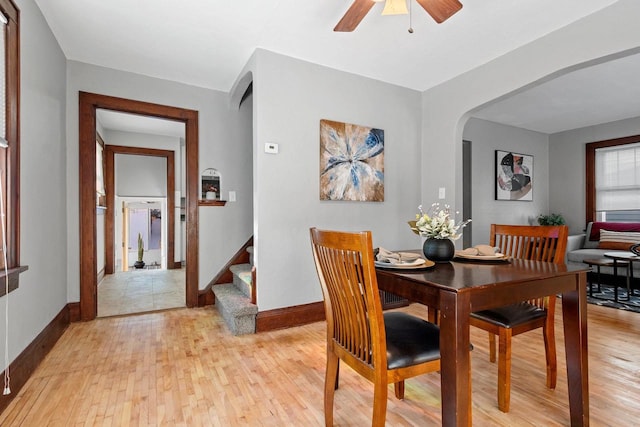 dining room with ceiling fan and light hardwood / wood-style floors