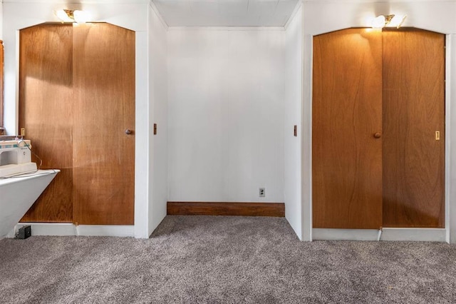 interior space featuring crown molding and carpet flooring