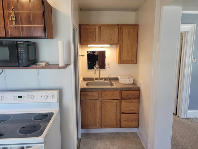 kitchen with white electric stove and sink