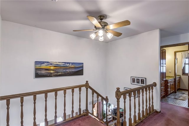 stairway featuring carpet floors