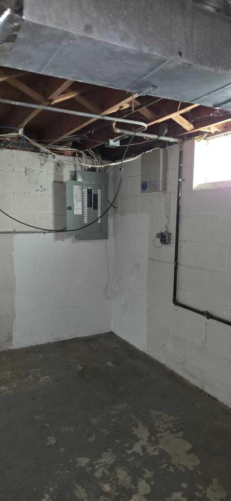 basement with electric panel