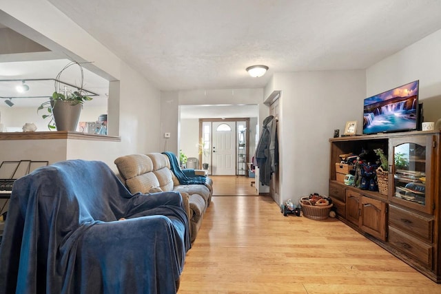 living room with light hardwood / wood-style floors