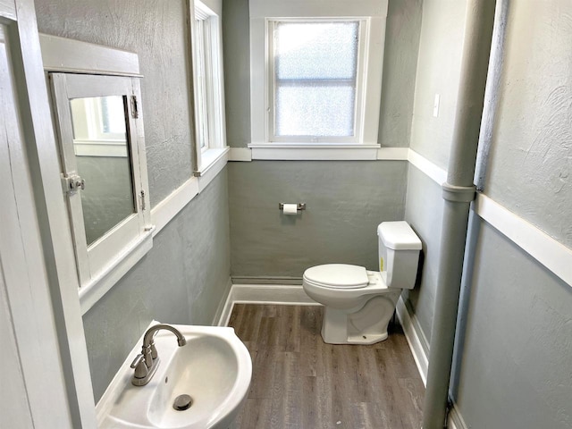 bathroom with toilet, sink, and hardwood / wood-style floors