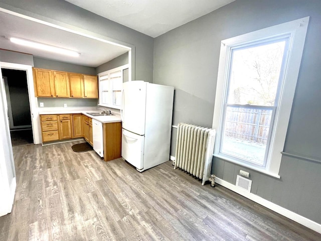 kitchen with white appliances, radiator, sink, and light wood-type flooring