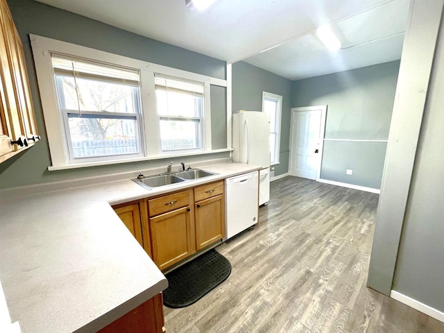 kitchen featuring sink, white appliances, and light hardwood / wood-style flooring